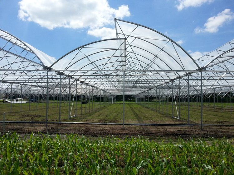 Afbeelding van kassen