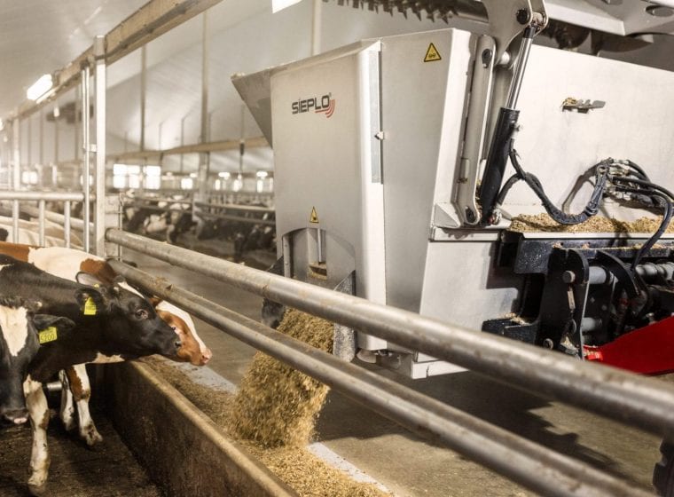 AV_Siepol-2018_02-1-scaled-760x560